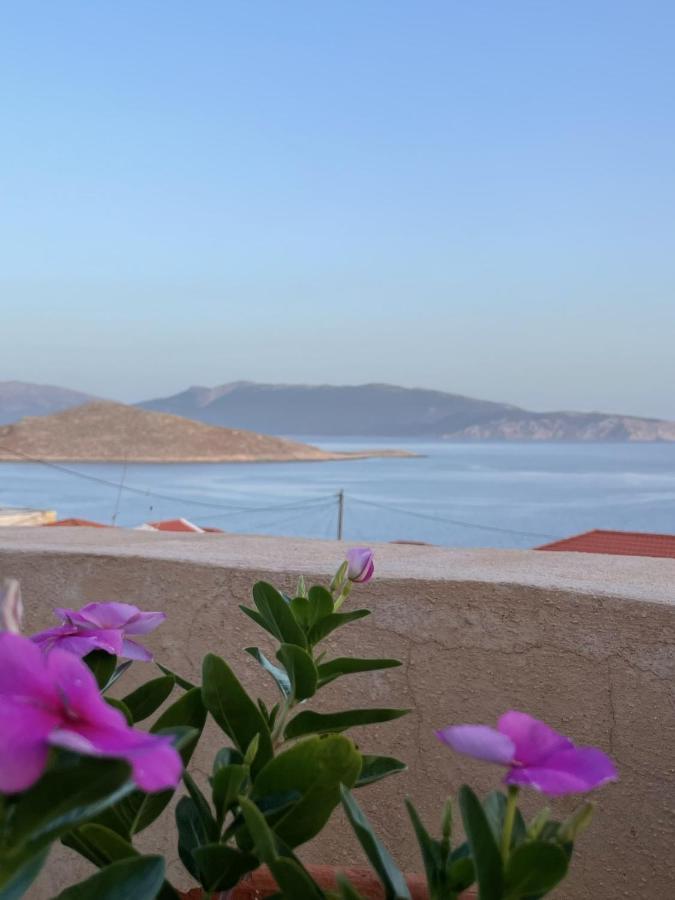 Marina Castellana Studios II Chalki Town Extérieur photo