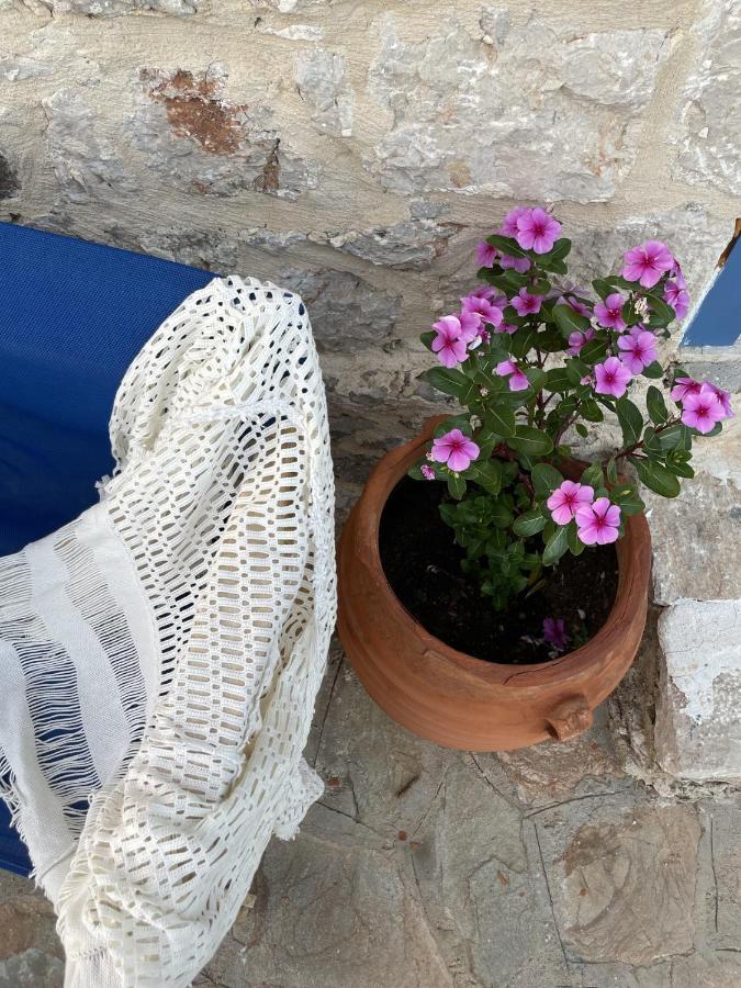 Marina Castellana Studios II Chalki Town Extérieur photo